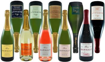 Photo illustrant le domaine viticole de Champagne Barnaut