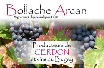 Photo illustrant le domaine viticole de Bollache - Arcan