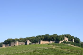 Vignes d'Arlay et Remparts