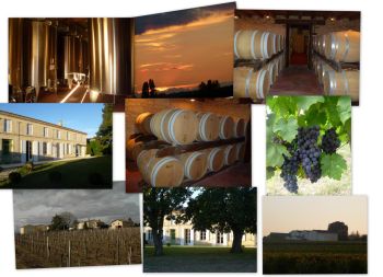 Photo illustrant le domaine viticole de Domaine de Viaud