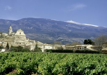 Photo illustrant le domaine viticole de Vmv Vignerons du Mont Ventoux
