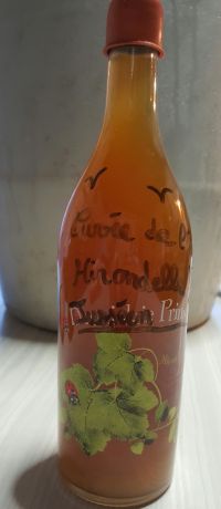 Photo d'une bouteille de Cuvée de l Hirondelle, Jusséen Primeur Vin de pays de Franche-Comté Haute-Saône