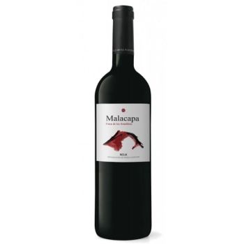 Photo d'une bouteille de Finca de Los Arandinos Rioja