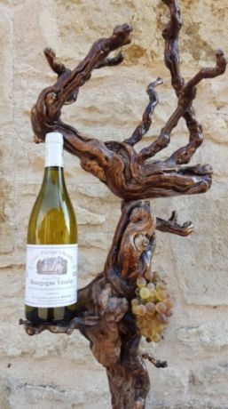 Photo d'une bouteille de Maria Cuny Bourgogne-Vézelay