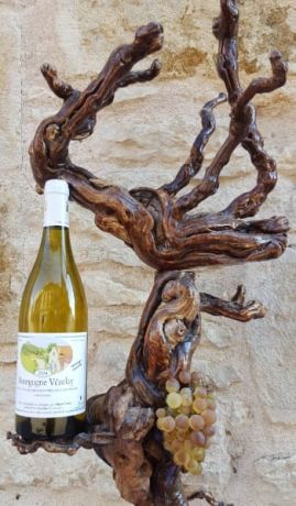 Photo d'une bouteille de Maria Cuny Bourgogne-Vézelay
