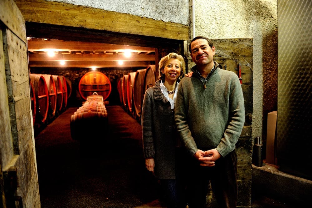 photo de vin, vigne ou professionnel du vin