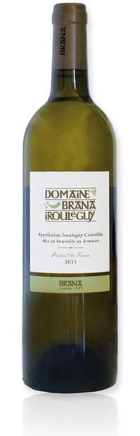 photo de vin, vigne ou professionnel du vin