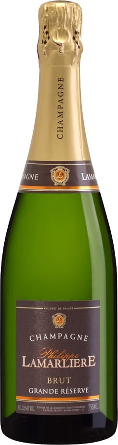 photo de vin, vigne ou professionnel du vin