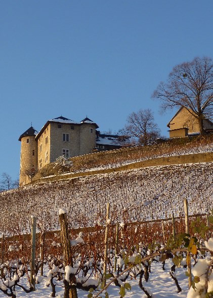 Château et vignes de Monterminod